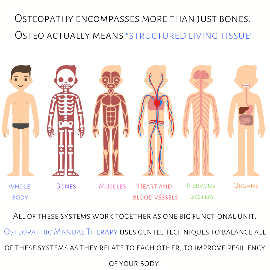 Beyond the Parts: The Core Philosophy of Osteopathy — Life in Motion